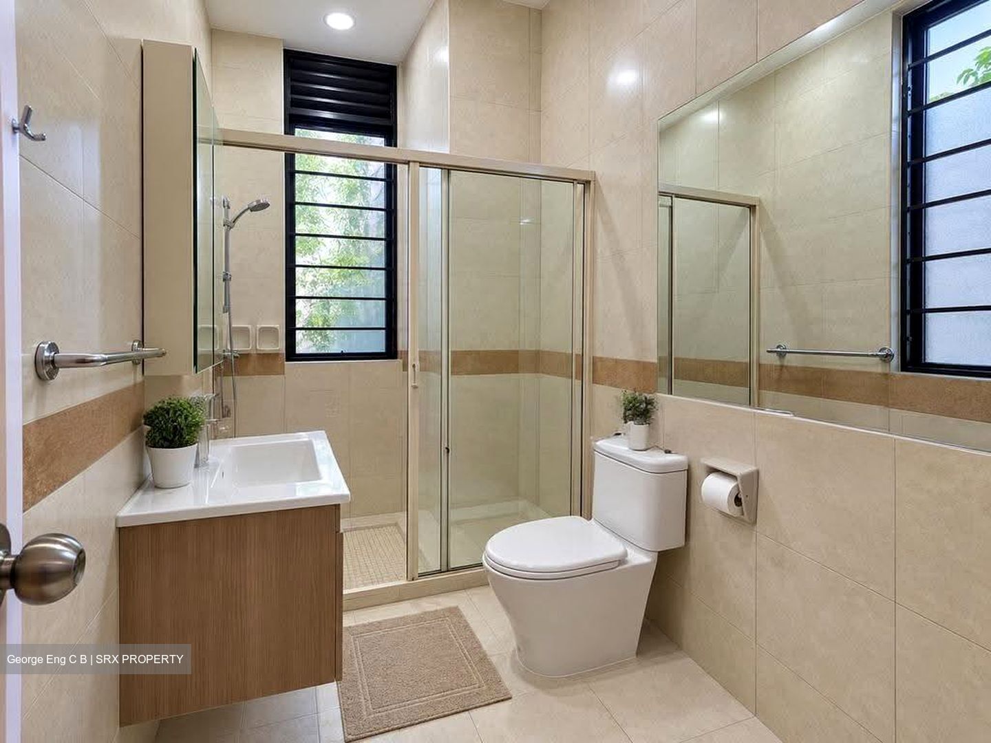 Nature Mansions (D15), Apartment #616529391